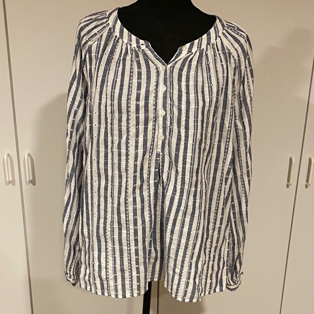 Time and Tru Chambray and White Striped Shirt
